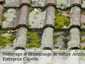 Nettoyage et démoussage de toiture avrilly-03130 Entreprise Capello