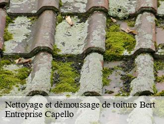 Nettoyage et démoussage de toiture bert-03130 Entreprise Capello