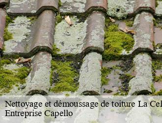 Nettoyage et démoussage de toiture la-celle-03600 Entreprise Capello
