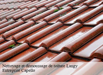 Nettoyage et démoussage de toiture langy-03150 Entreprise Capello
