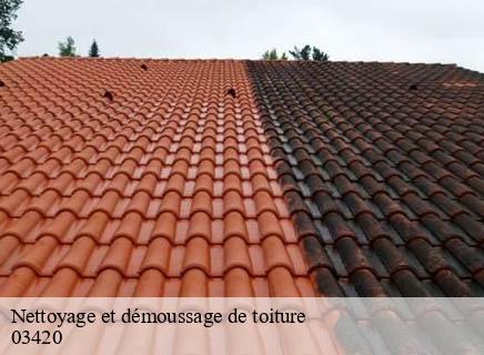Nettoyage et démoussage de toiture mazirat-03420 Entreprise Capello