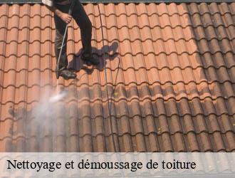 Nettoyage et démoussage de toiture mazirat-03420 Entreprise Capello