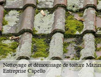 Nettoyage et démoussage de toiture mazirat-03420 Entreprise Capello
