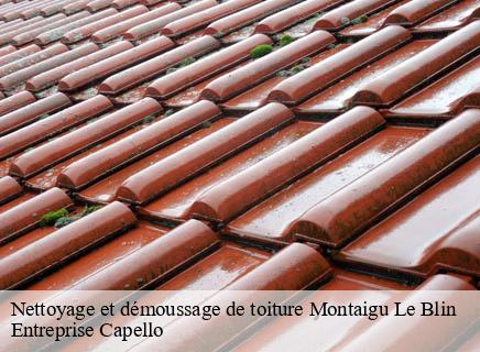 Nettoyage et démoussage de toiture montaigu-le-blin-03150 Entreprise Capello