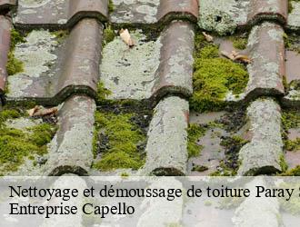 Nettoyage et démoussage de toiture paray-sous-briailles-03500 Entreprise Capello
