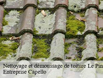 Nettoyage et démoussage de toiture le-pin-03130 Entreprise Capello