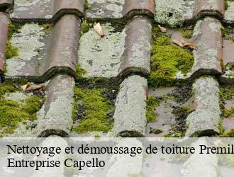 Nettoyage et démoussage de toiture premilhat-03410 Entreprise Capello