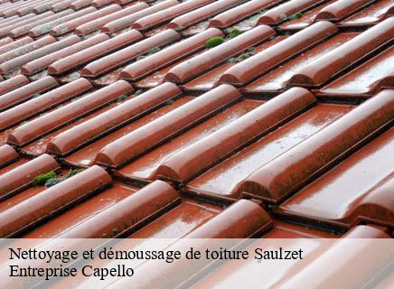 Nettoyage et démoussage de toiture saulzet-03800 Entreprise Capello