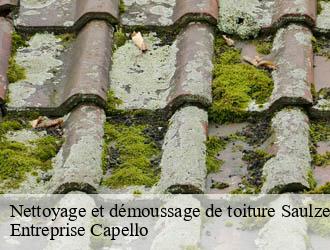Nettoyage et démoussage de toiture saulzet-03800 Entreprise Capello