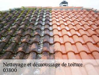 Nettoyage et démoussage de toiture saulzet-03800 Entreprise Capello