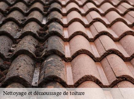 Nettoyage et démoussage de toiture saulzet-03800 Entreprise Capello
