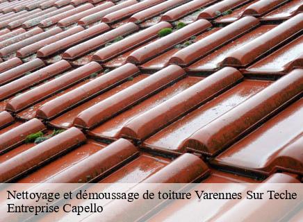 Nettoyage et démoussage de toiture varennes-sur-teche-03220 Entreprise Capello