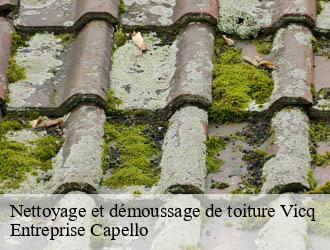 Nettoyage et démoussage de toiture vicq-03450 Entreprise Capello