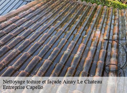 Nettoyage toiture et façade ainay-le-chateau-03360 Entreprise Capello