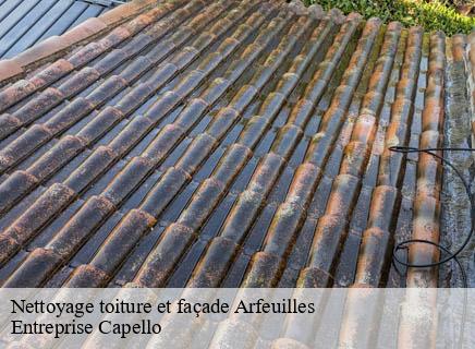 Nettoyage toiture et façade arfeuilles-03640 Entreprise Capello