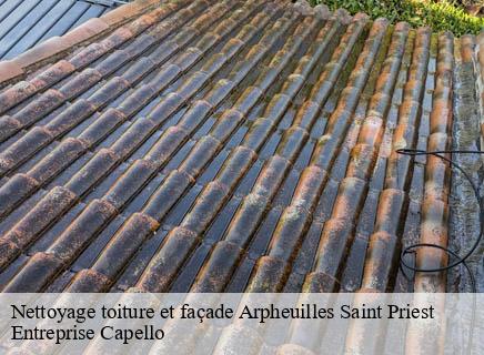Nettoyage toiture et façade arpheuilles-saint-priest-03420 Entreprise Capello