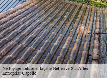 Nettoyage toiture et façade  bellerive-sur-allier-03700 Entreprise Capello