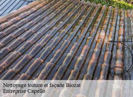 Nettoyage toiture et façade biozat-03800 Entreprise Capello