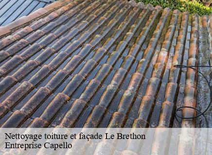 Nettoyage toiture et façade le-brethon-03350 Entreprise Capello