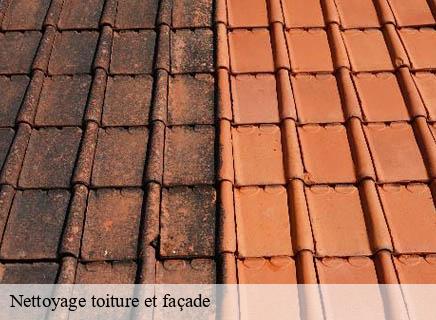 Nettoyage toiture et façade  chatel-montagne-03250 Entreprise Capello