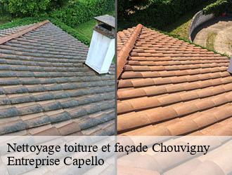 Nettoyage toiture et façade chouvigny-03450 Entreprise Capello