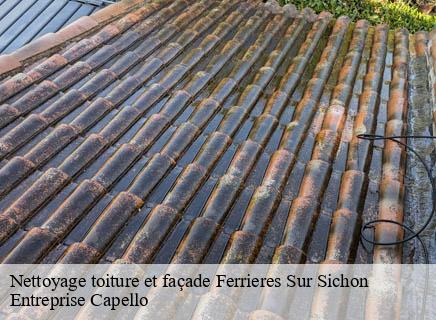 Nettoyage toiture et façade  ferrieres-sur-sichon-03250 Entreprise Capello