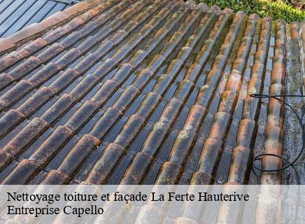 Nettoyage toiture et façade la-ferte-hauterive-03340 Entreprise Capello