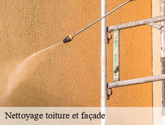 Nettoyage toiture et façade gannat-03800 Entreprise Capello