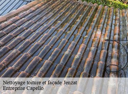 Nettoyage toiture et façade jenzat-03800 Entreprise Capello