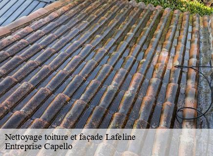 Nettoyage toiture et façade lafeline-03500 Entreprise Capello