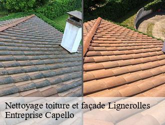 Nettoyage toiture et façade lignerolles-03410 Entreprise Capello