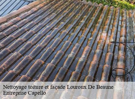 Nettoyage toiture et façade louroux-de-beaune-03600 Entreprise Capello