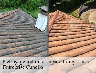 Nettoyage toiture et façade lurcy-levis-03320 Entreprise Capello