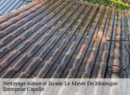 Nettoyage toiture et façade  le-mayet-de-montagne-03250 Entreprise Capello
