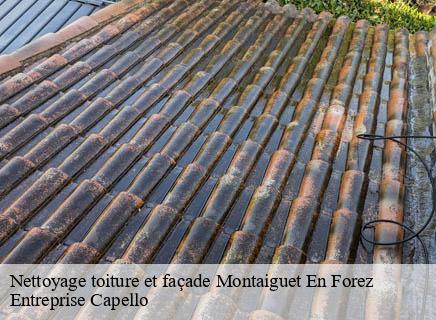 Nettoyage toiture et façade montaiguet-en-forez-03130 Entreprise Capello