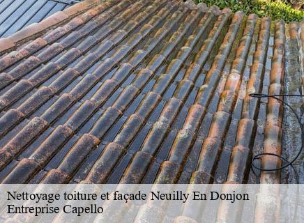 Nettoyage toiture et façade neuilly-en-donjon-03130 Entreprise Capello