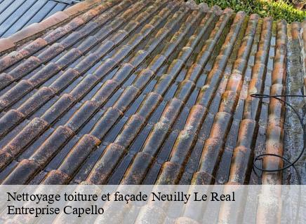 Nettoyage toiture et façade neuilly-le-real-03340 Entreprise Capello