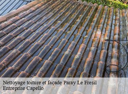 Nettoyage toiture et façade paray-le-fresil-03230 Entreprise Capello