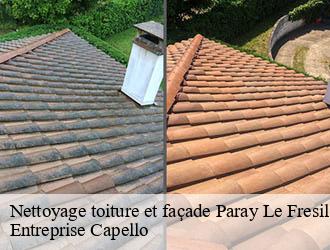 Nettoyage toiture et façade paray-le-fresil-03230 Entreprise Capello