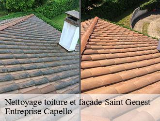 Nettoyage toiture et façade saint-genest-03310 Entreprise Capello
