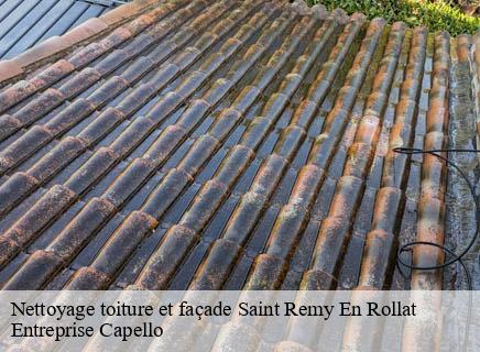Nettoyage toiture et façade saint-remy-en-rollat-03110 Entreprise Capello