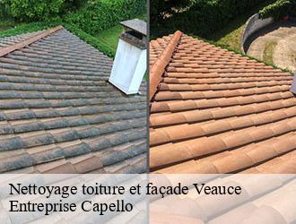 Nettoyage toiture et façade veauce-03450 Entreprise Capello